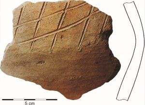 Obr. 4 Črep s ryhovaním