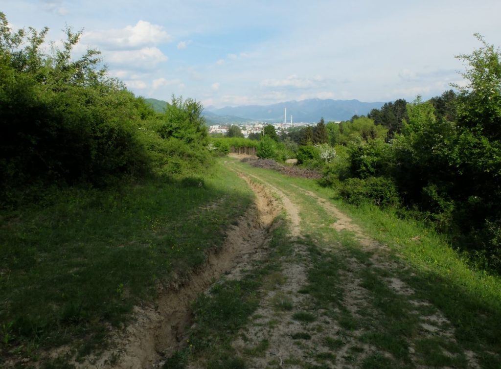 Miesto nálezu vrchnáku theriaku. V pozadí mesto Žilina (foto: M. Furman)
