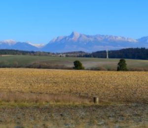 Doložené spracovanie železnej rudy púchovskej kultúry v Dovalove, okr. Liptovský Mikuláš?