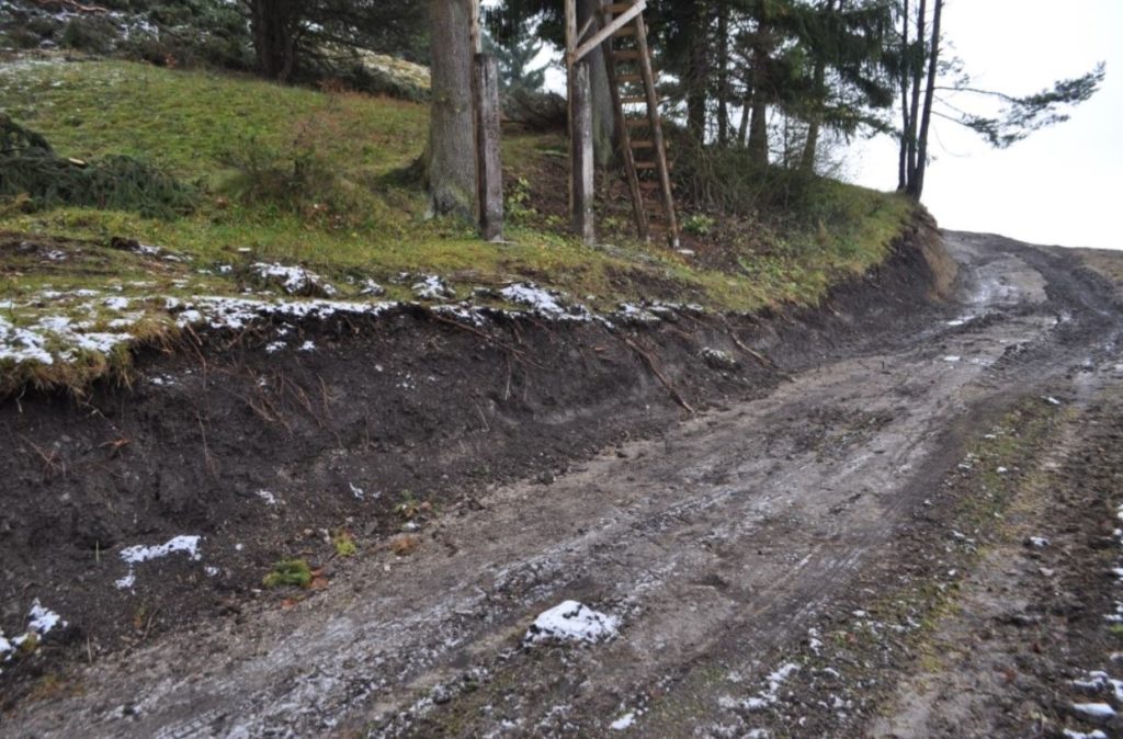 Obr. 2 Časť narušenej kultúrnej vrstvy novou lesnou cestou (foto: M. Furman).